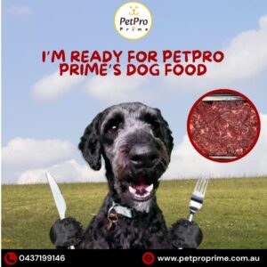 5574ce18-aebe-42fb-959f-5a8a8a7c6815