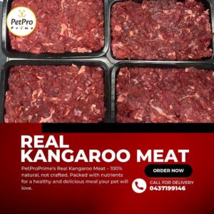 9219998e-3807-43ce-a908-31fb6ae6ee49