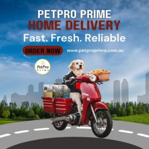 a95fbefa-7a6d-4f1e-9761-bdbea08470bd