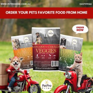 e17eb452-778a-4068-afb2-c475c83e85bf (1)